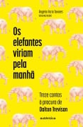 Os elefantes viriam pela manhã - Rogério Faria Tavares