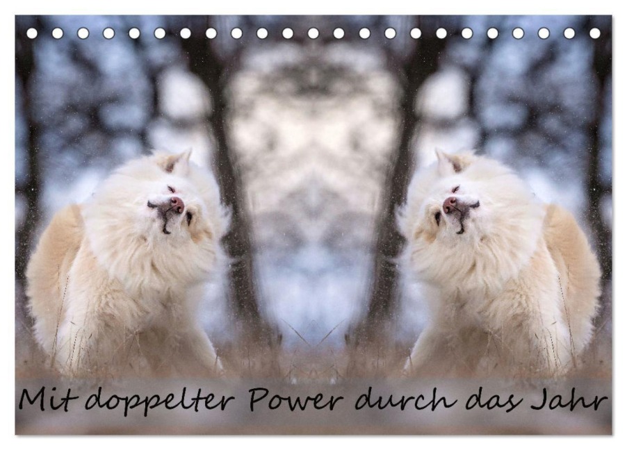 Mit doppelter Power durch das Jahr (Tischkalender 2027 DIN A5 quer), CALVENDO Monatskalender - Monika Scheurer