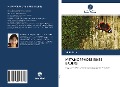 Cover-Bild zum Titel 'METAMORPHOSE EINES BAUERS' von 'Nilda Paris'