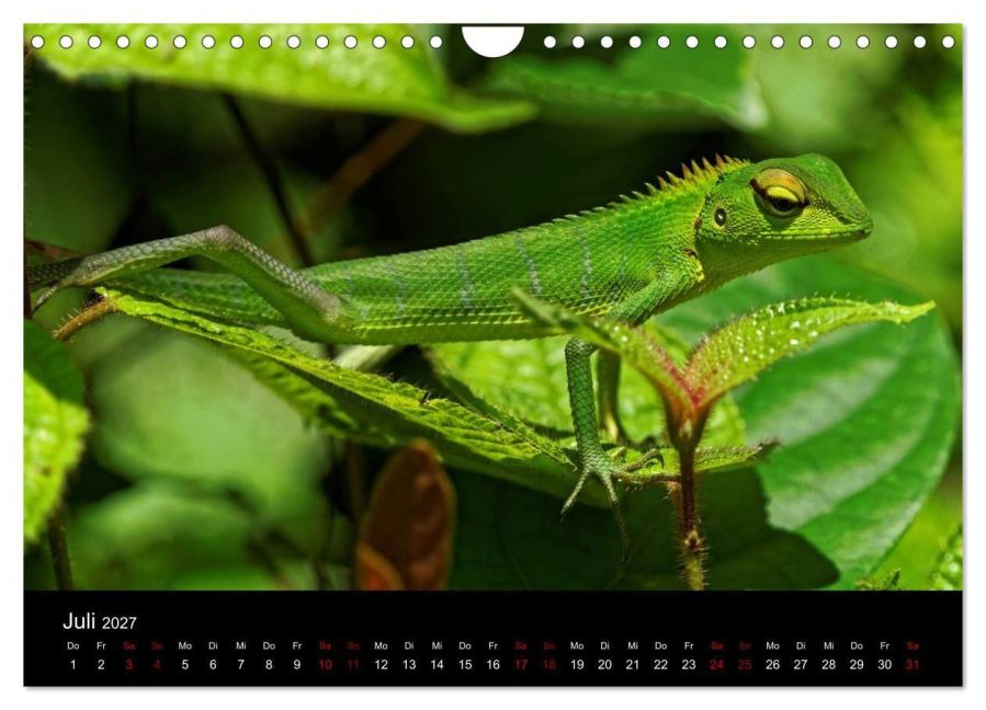 InsideView 12