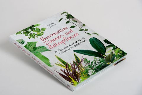 InsideView 4