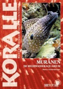 Cover-Bild zum Titel 'Muränen im Meerwasseraquarium' von 'Marco Lichtenberger'