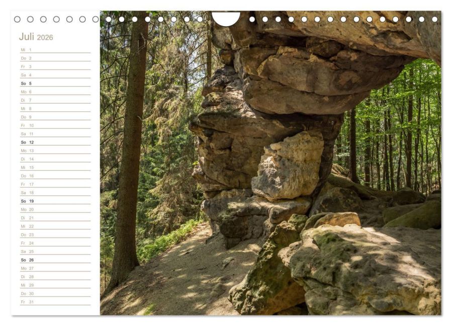 InsideView 12