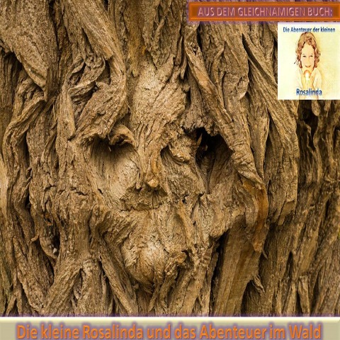 Die kleine Rosalinda und das Abenteuer im Wald - Monika Schuberth