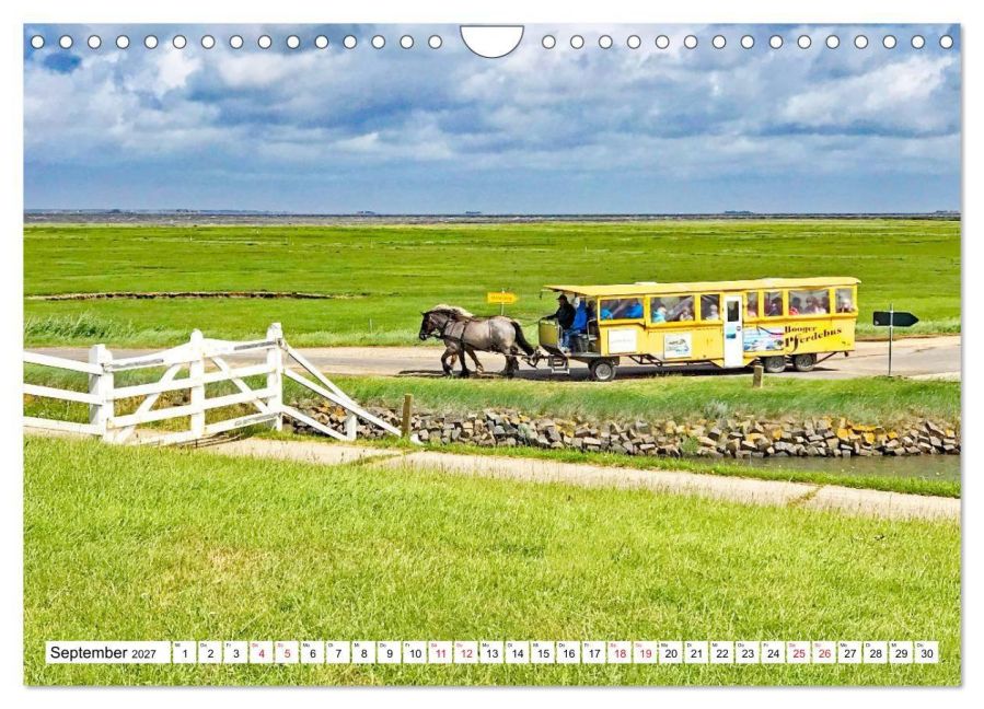 InsideView 14
