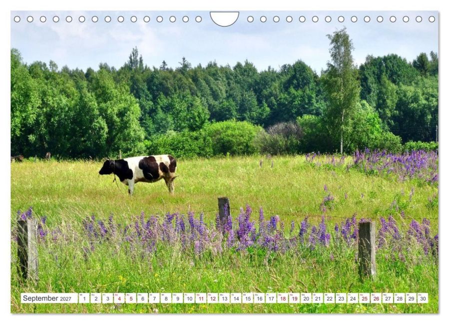 InsideView 14