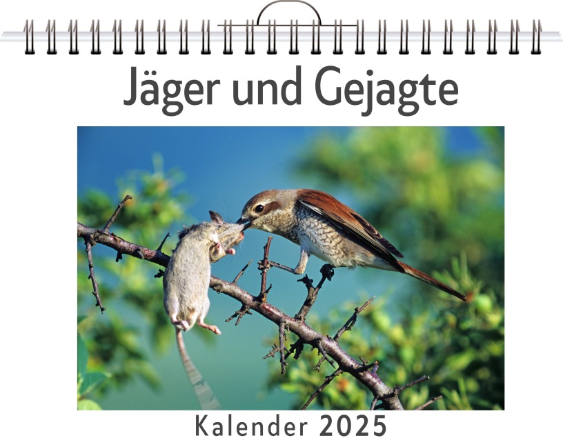 Jäger und Gejagte - (Wandkalender 2025, Kalender DIN A4 quer, Monatskalender im Querformat mit Kalendarium, das perfekte Geschenk) - Laura Peters