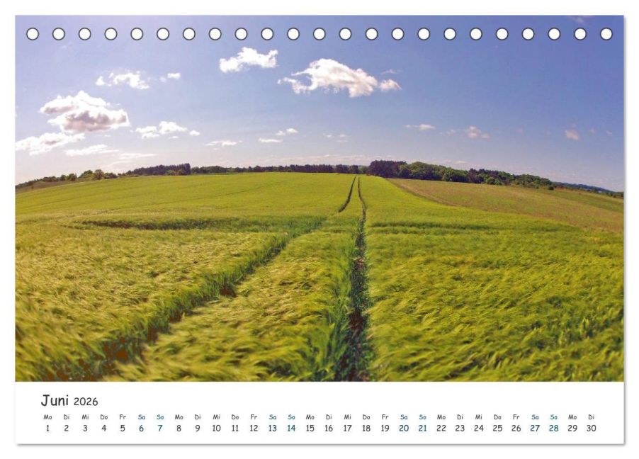 InsideView 11