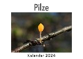 Pilze (Wandkalender 2024, Kalender DIN A4 quer, Monatskalender im Querformat mit Kalendarium, Das perfekte Geschenk) - Anna Müller