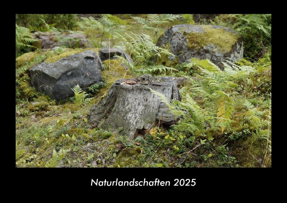 Naturlandschaften 2025 Fotokalender DIN A3 - Tobias Becker