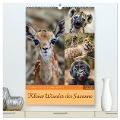 Kleine Wunder der Savanne (hochwertiger Premium Wandkalender 2025 DIN A2 hoch), Kunstdruck in Hochglanz - Steffen Gierok-Latniak