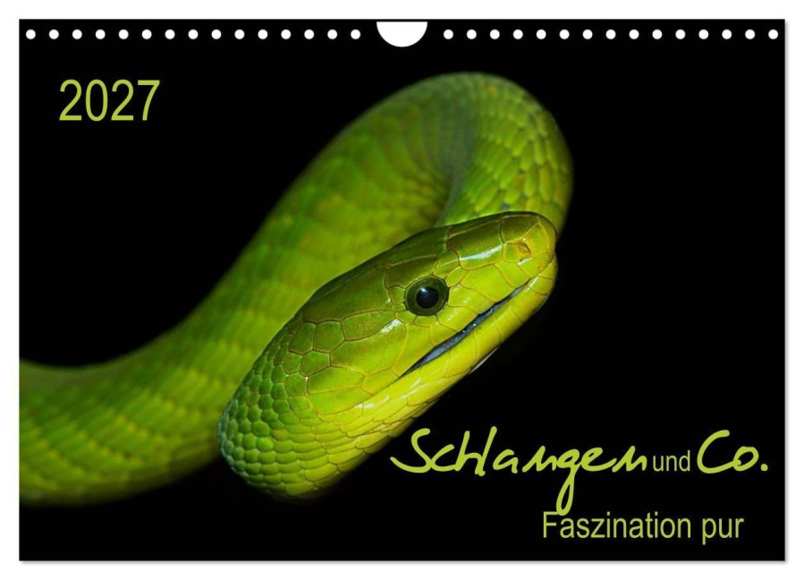 Schlangen und Co. - Faszination pur (Wandkalender 2027 DIN A4 quer), CALVENDO Monatskalender - Sigrid Enkemeier