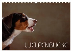 Cover-Bild zum Titel 'Welpenblicke (Wandkalender 2026 DIN A3 quer), CALVENDO Monatskalender' von 'Jana Behr'