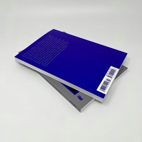 InsideView 2