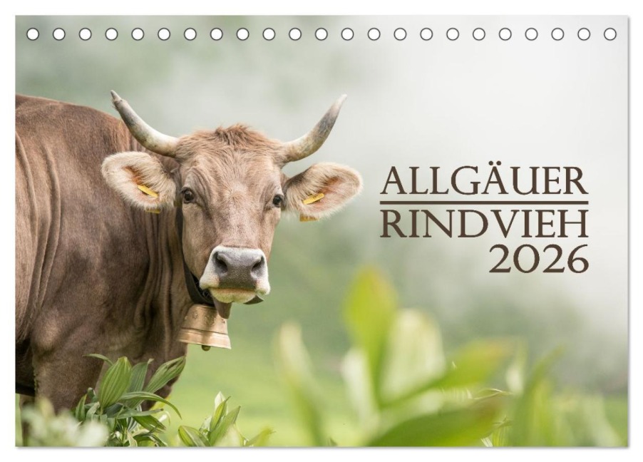 Allgäuer Rindvieh 2026 (Tischkalender 2026 DIN A5 quer), CALVENDO Monatskalender - Juliane Wandel