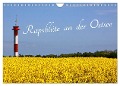 Rapsblüte an der Ostsee (Wandkalender 2024 DIN A4 quer), CALVENDO Monatskalender - Ro BRA - Rolf Braun Ostseefotograf