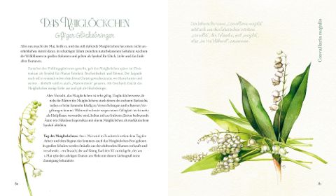 InsideView 3