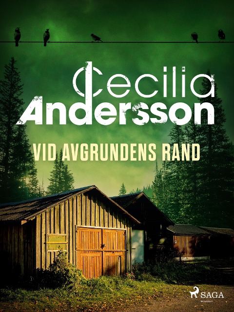 Vid avgrundens rand - Cecilia Andersson