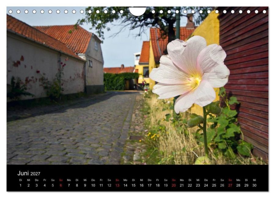 InsideView 11