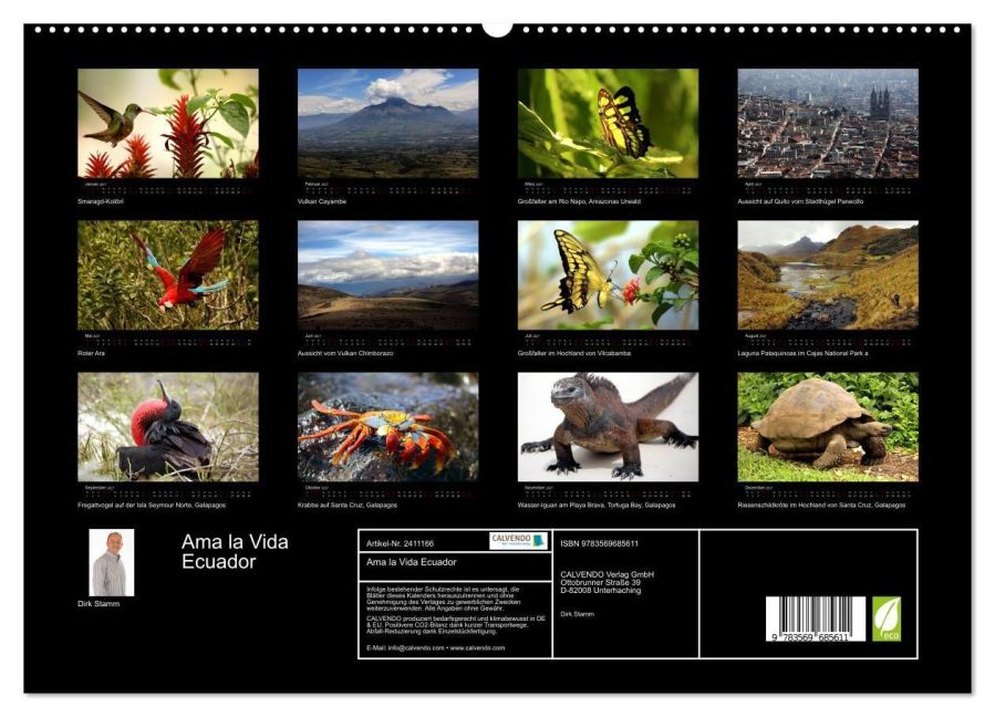 InsideView 4