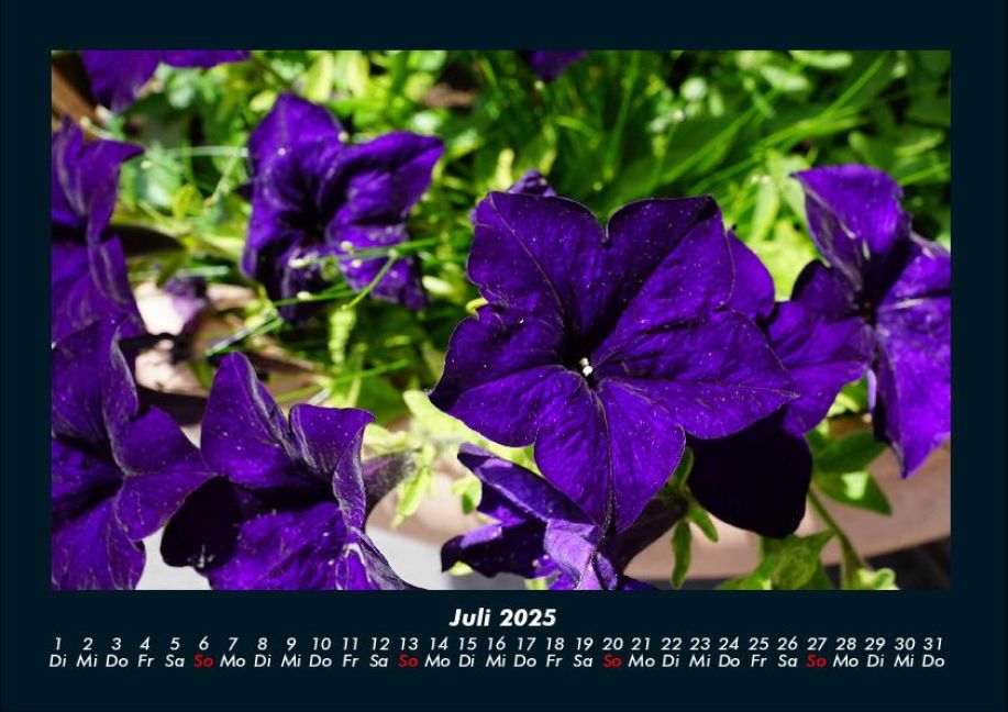 InsideView 11