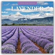 Lavender - Lavendel 2026 - 16-Monatskalender - Robin Red