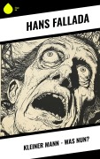 Cover-Bild zum Titel 'Kleiner Mann - was nun?' von 'Hans Fallada'