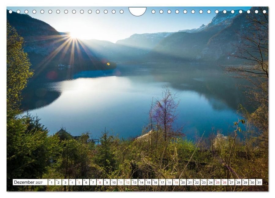 InsideView 4