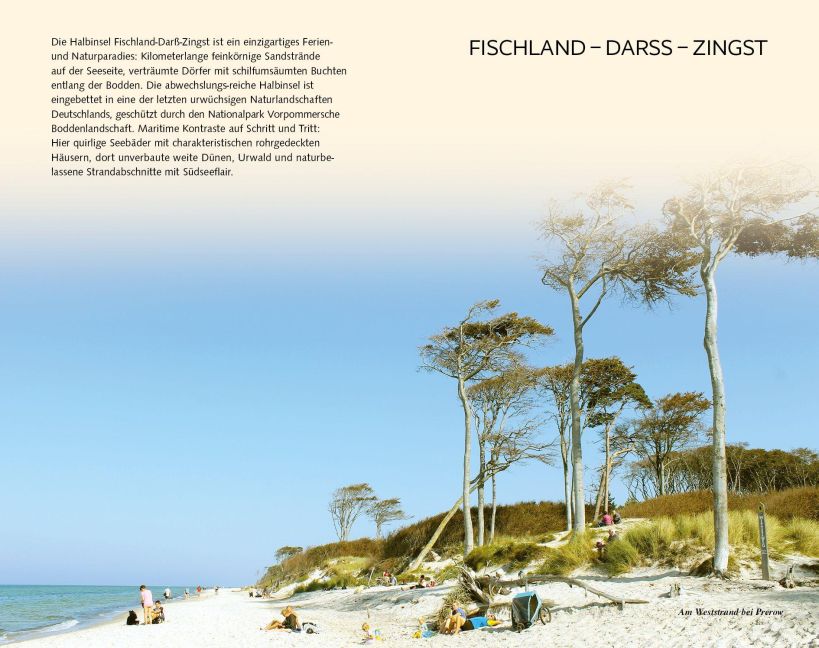 InsideView 10