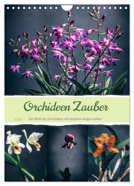 Orchideen Zauber (Wandkalender 2026 DIN A4 hoch), CALVENDO Monatskalender - Steffen Gierok-Latniak