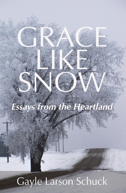 Grace Like Snow - Gayle Larson Schuck