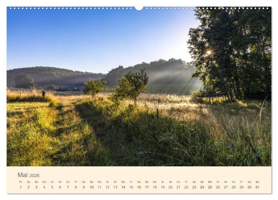 InsideView 10