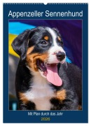 Cover-Bild zum Titel 'Appenzeller Sennenhund - Mit Plan durch das Jahr (Wandkalender 2026 DIN A2 hoch), CALVENDO Monatskalender' von 'Sigrid Starick'