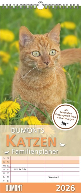 Dumonts Katzen Kalender - Familienplaner im Format 19,5 x 45 - 