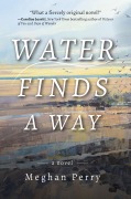 Cover-Bild zum Titel 'Water Finds a Way a Novel' von 'Meghan Perry'