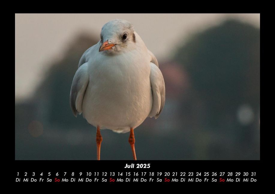 InsideView 11