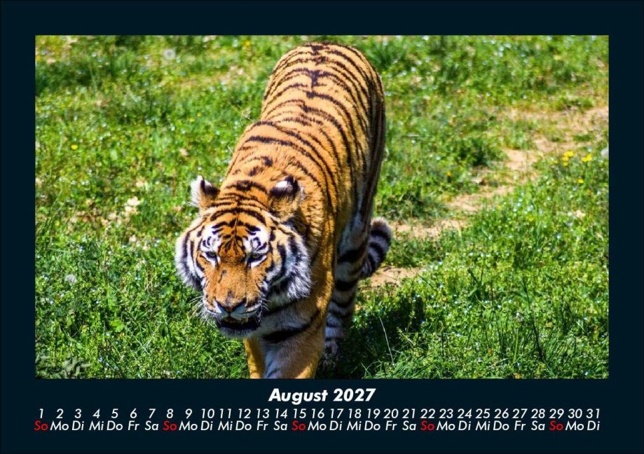 InsideView 12