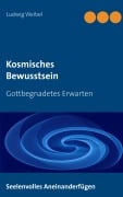 Cover-Bild zum Titel 'Kosmisches Bewusstsein' von 'Ludwig Weibel'