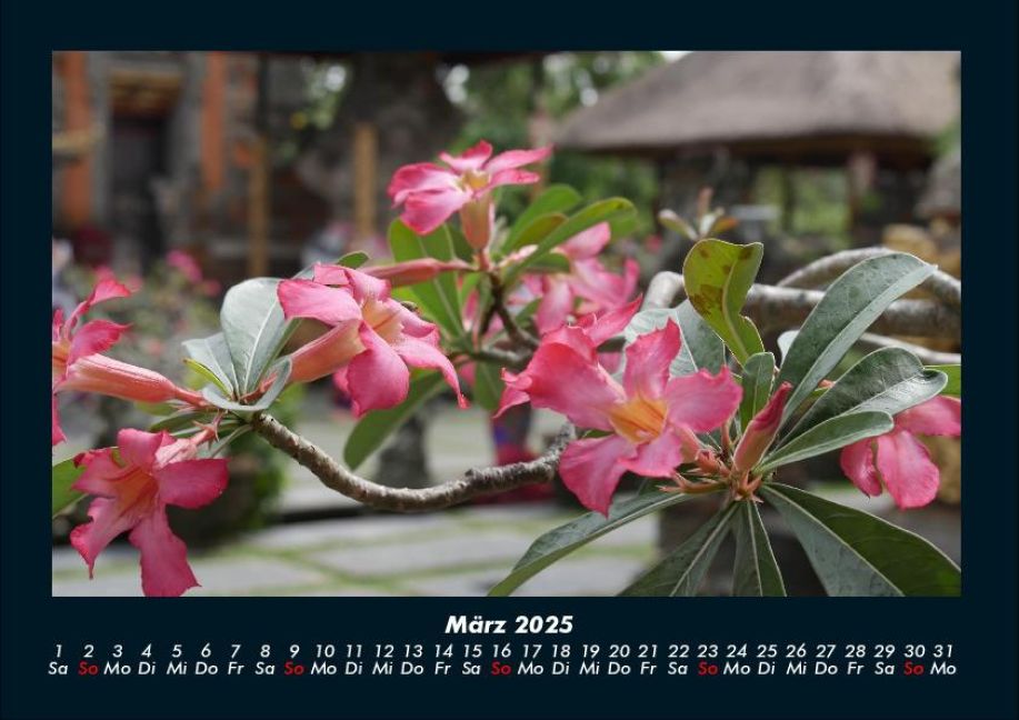 InsideView 7