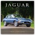 Jaguar 2025 - 16-Monatskalender - Avonside Publishing Ltd