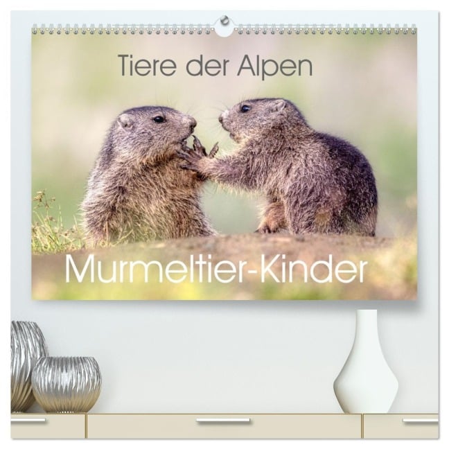 Tiere der Alpen - Murmeltier-Kinder (hochwertiger Premium Wandkalender 2026 DIN A2 quer), Kunstdruck in Hochglanz - Judith Kuhn
