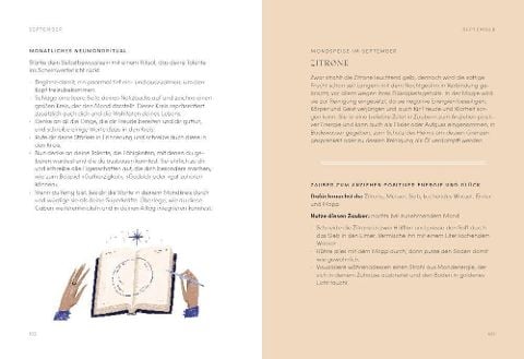 InsideView 4