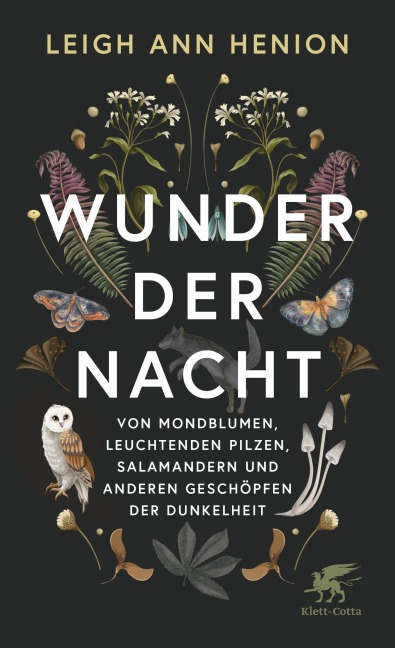 Wunder der Nacht - Leigh Ann Henion