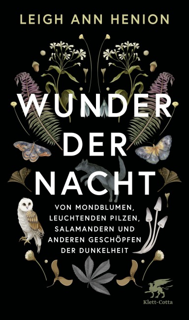 Wunder der Nacht - Leigh Ann Henion