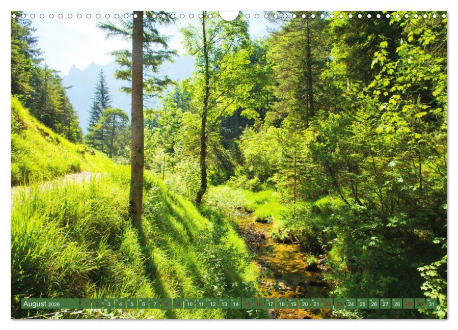 InsideView 13