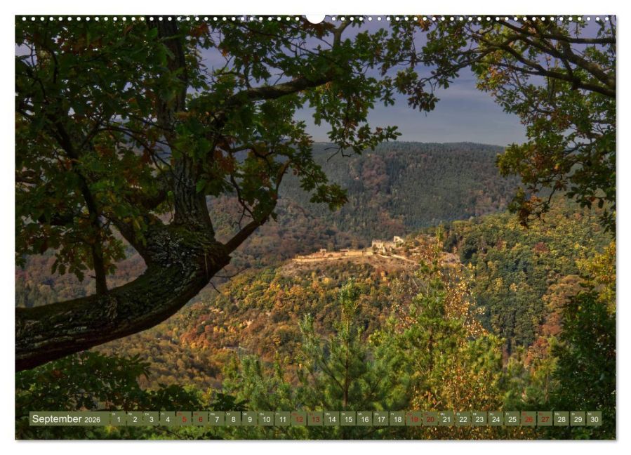 InsideView 14