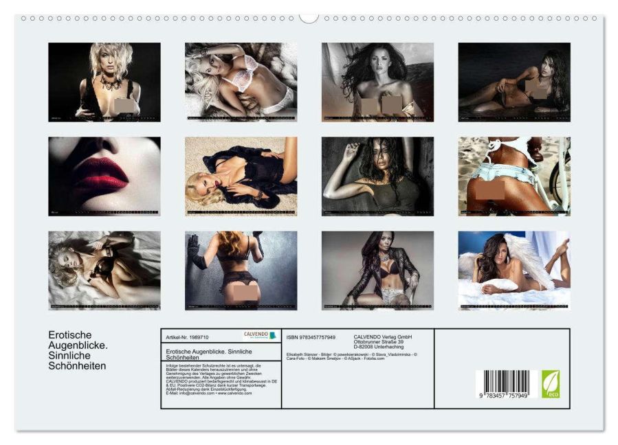 InsideView 4