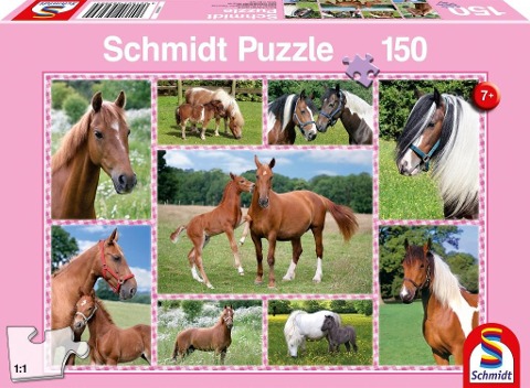 Pferdeträume, 150 Teile - Kinderpuzzle - 