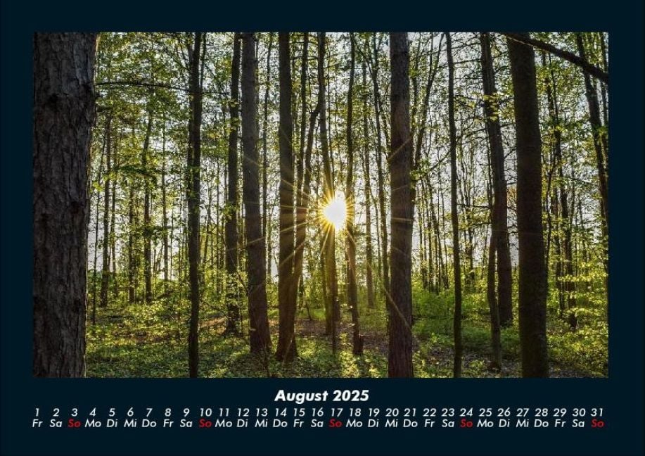 InsideView 12