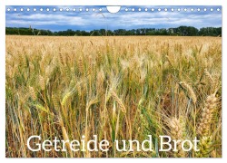 Cover-Bild zum Titel 'Getreide und Brot (Wandkalender 2026 DIN A4 quer), CALVENDO Monatskalender' von 'Hans-Georg Vorndran'